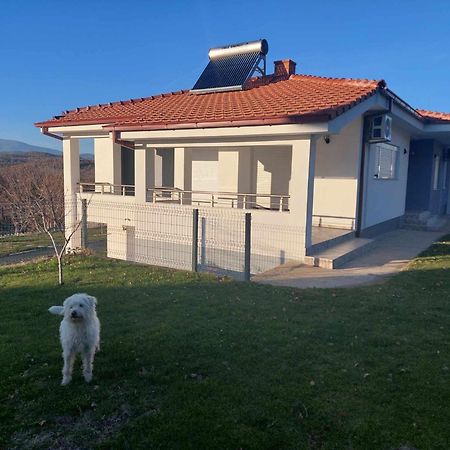 Villa With Mountain View Gevgelija Exteriér fotografie